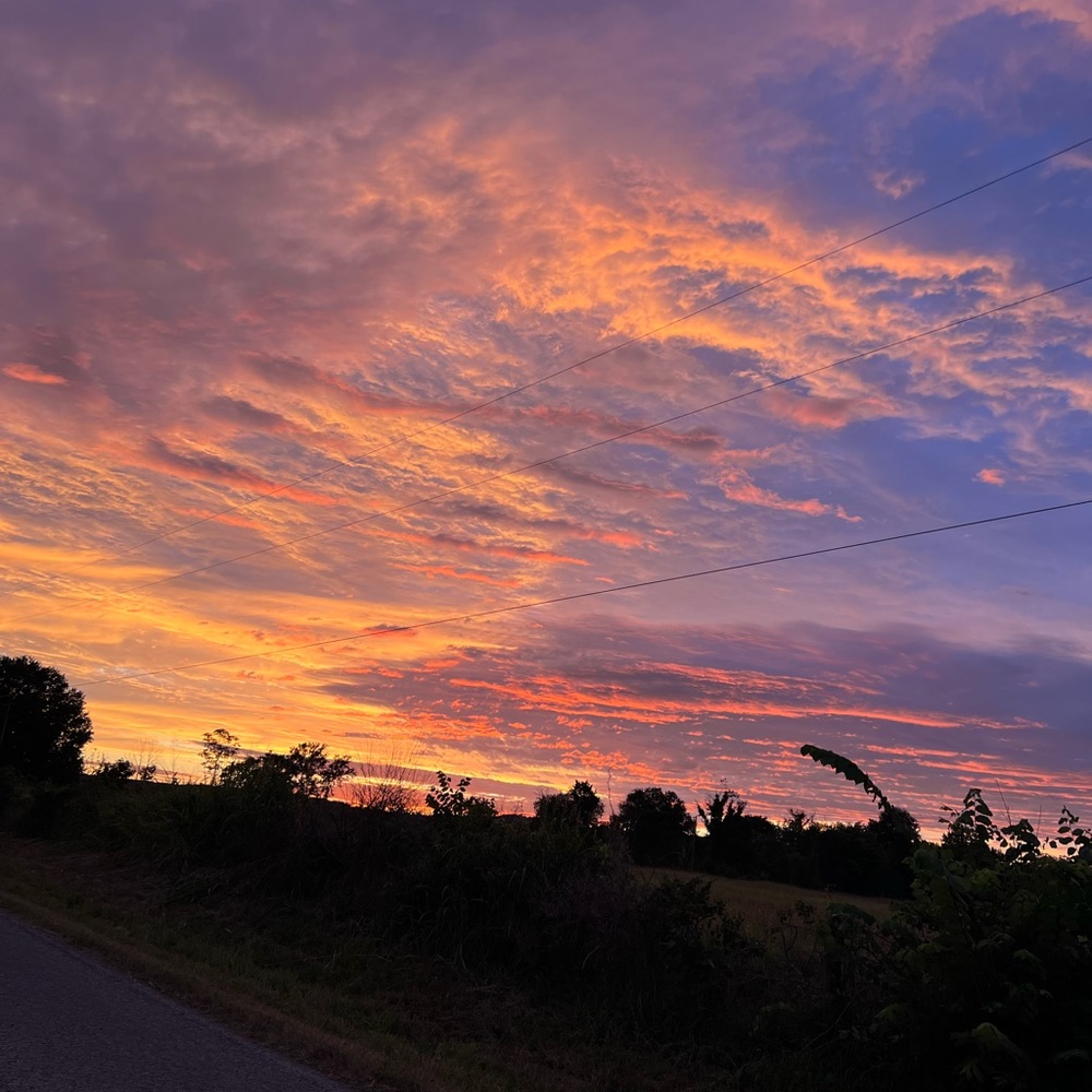 Meet your Posher, Lidia